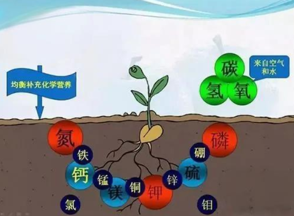 ?土壤氮磷鉀標(biāo)準(zhǔn)值是多少?讓我們一起探索!