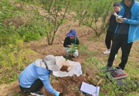 土壤檢測(cè)儀：農(nóng)業(yè)科技革新的關(guān)鍵
