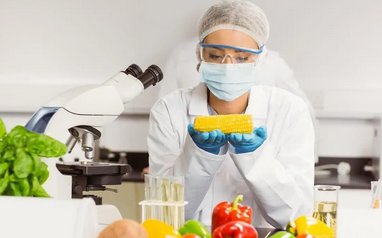 食品檢測儀器：守護舌尖上的安全