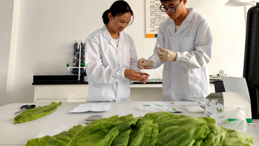 農藥殘留檢測儀器設備:守護食品安全的“隱形衛士”