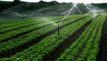 土壤檢測儀器品牌:精準農業的得力助手