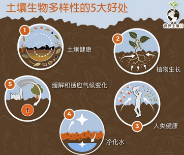 土壤檢測儀器工作原理:揭開土壤質量的神秘面紗