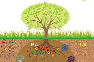 土壤檢測(cè)儀器設(shè)備-農(nóng)業(yè)可持續(xù)發(fā)展的基石