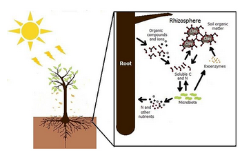 土壤檢測儀器有防雷的嗎?