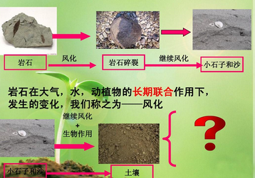土壤檢測儀器操作臺標準
