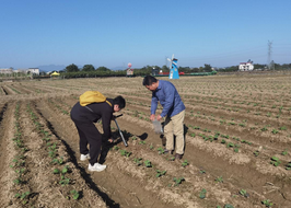 土壤檢測儀使用掌握精準農業的科技利器