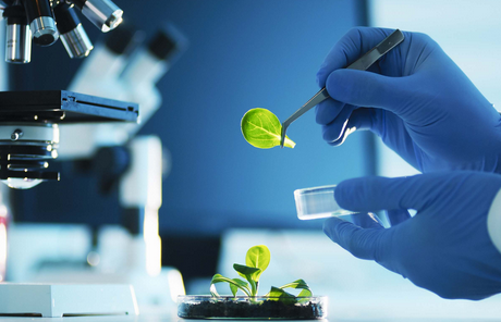 食品檢測(cè)常用儀器及原理